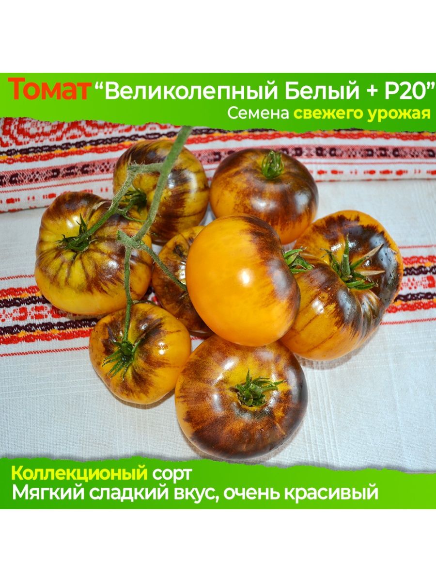 томат бонапарт фото