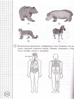 Рассмотрите рисунок впр