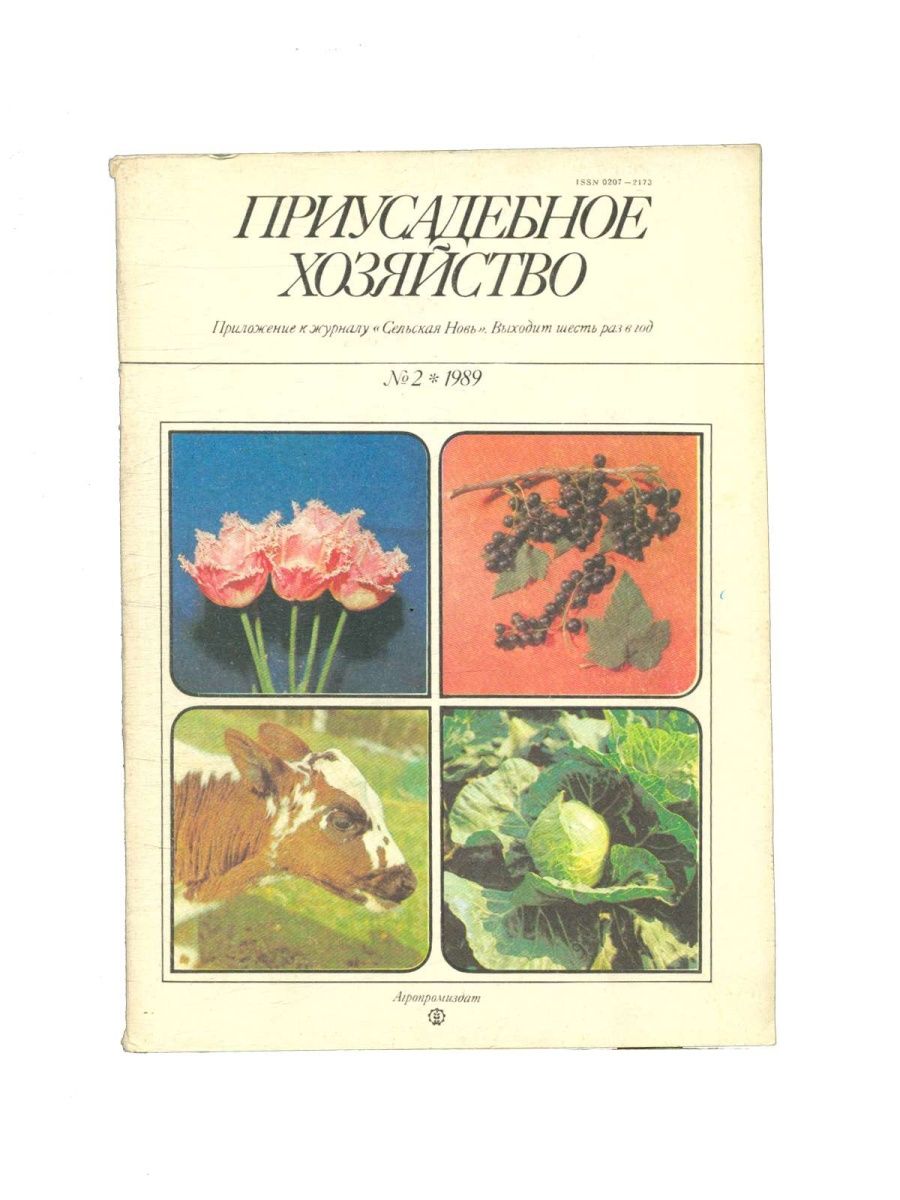 Журнал хозяйство. Советский журнал Приусадебное хозяйство. Журнал Приусадебное хозяйство старые издания. Приусадебное хозяйство 1989. Журнал Приусадебное хозяйство в СССР.
