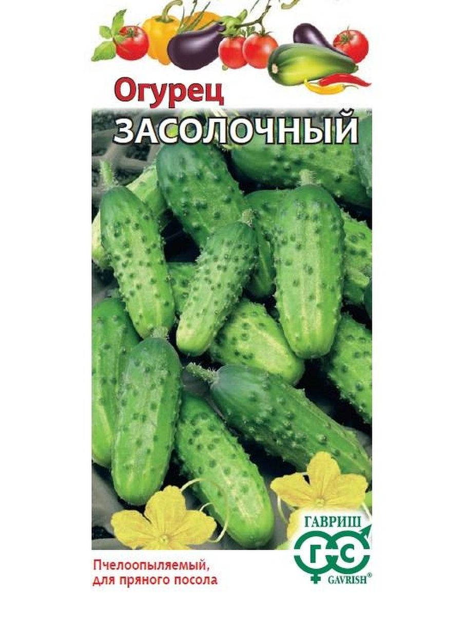 Огурец засолочный фото и описание